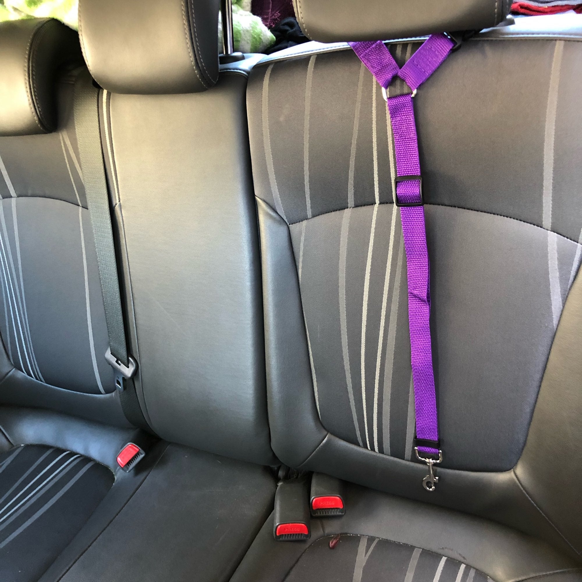 DogBelt™: De Veiligste Manier voor je Hond om te Reizen