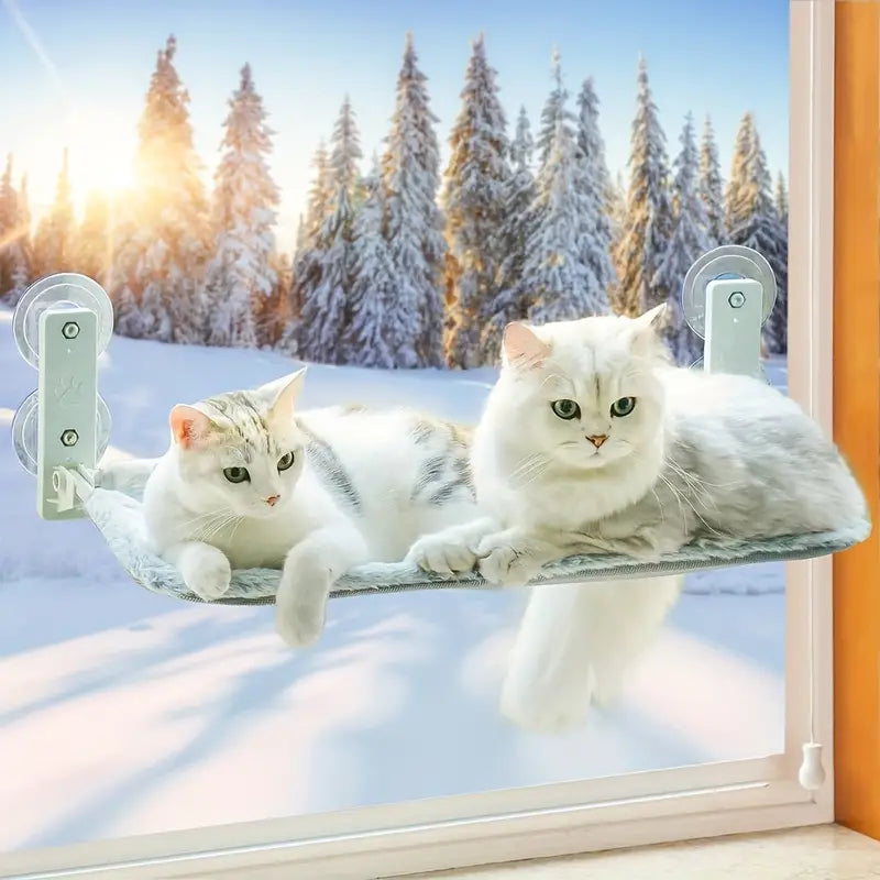 Catbed™: De ultieme relaxplek voor je kat, overal en altijd