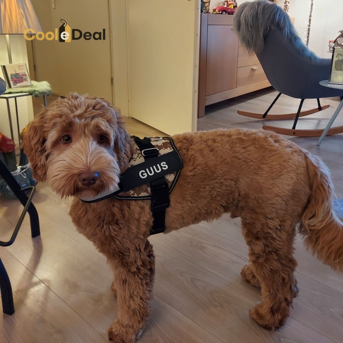 Dog-Harness Comfort™ | Elke hond verdiend een 𝐕𝐞𝐢𝐥𝐢𝐠 𝐇𝐚𝐫𝐧𝐚𝐬!