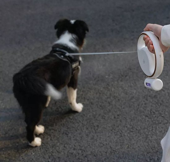 Pet Leash™: De slimme hondenriem met alles wat je nodig hebt