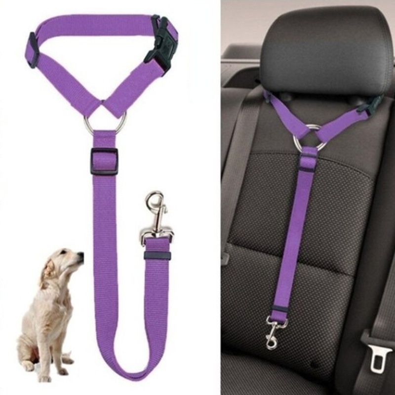DogBelt™: De Veiligste Manier voor je Hond om te Reizen
