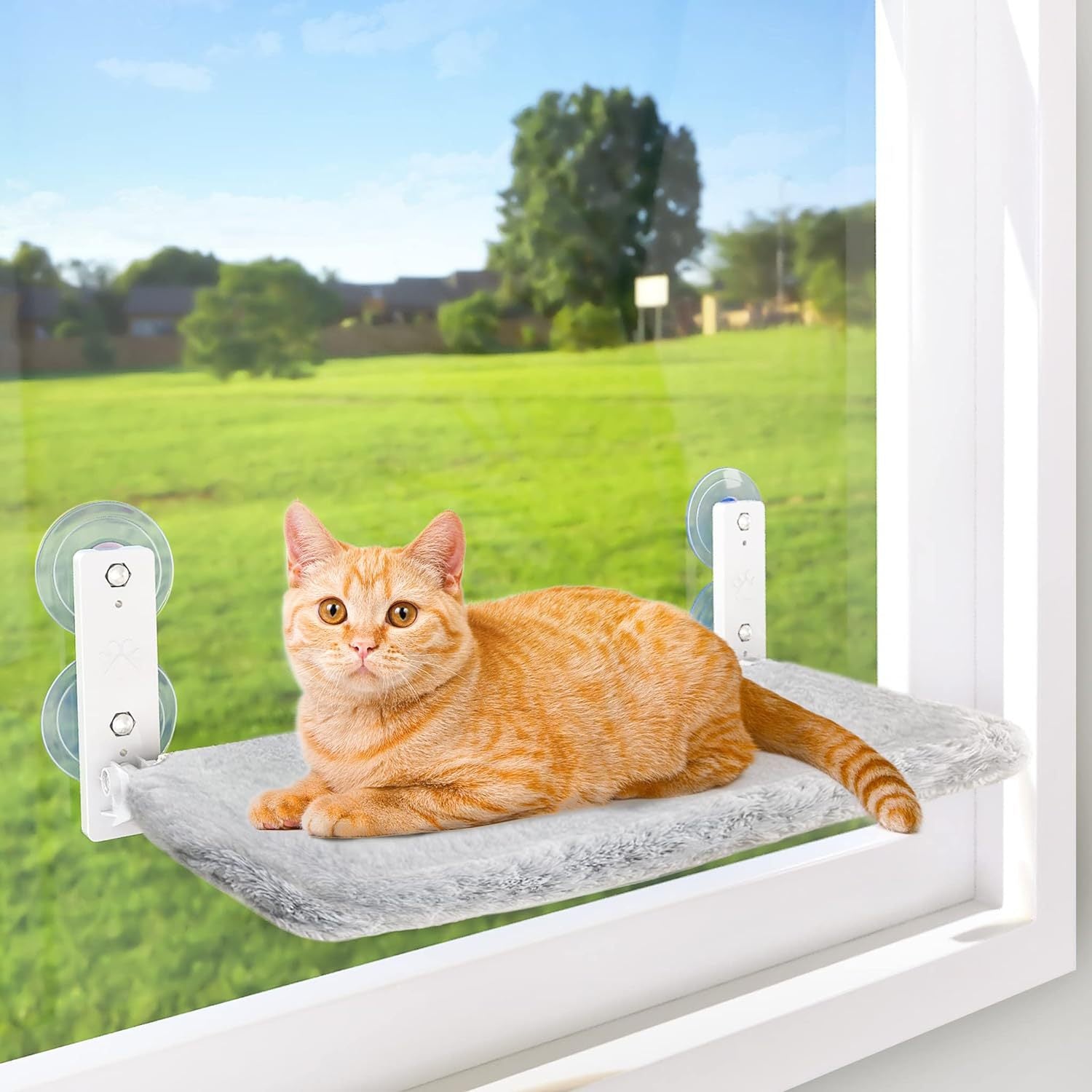 Catbed™: De ultieme relaxplek voor je kat, overal en altijd