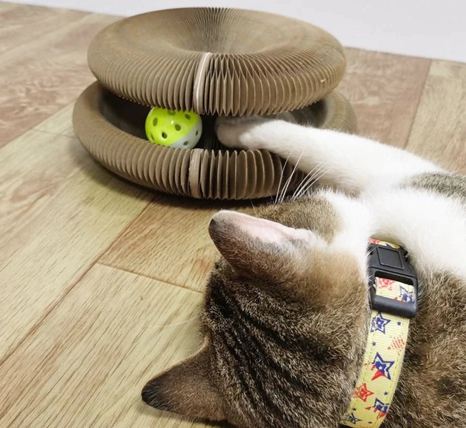 Catplay™ | Het ultieme speeltje om je kat bezig te houden!
