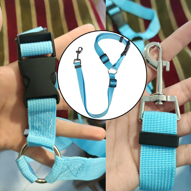 DogBelt™: De Veiligste Manier voor je Hond om te Reizen
